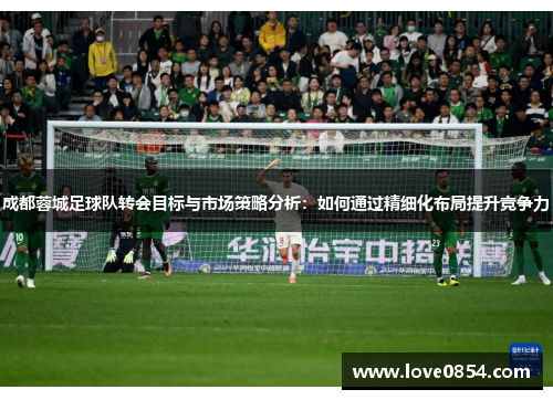 成都蓉城足球队转会目标与市场策略分析：如何通过精细化布局提升竞争力