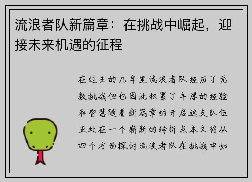 流浪者队新篇章：在挑战中崛起，迎接未来机遇的征程